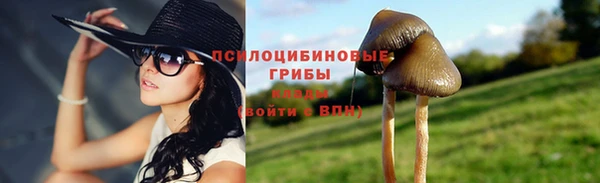 дурь Алексин