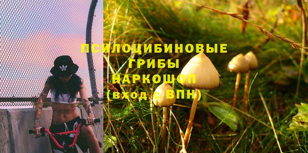 прущая мука Алзамай