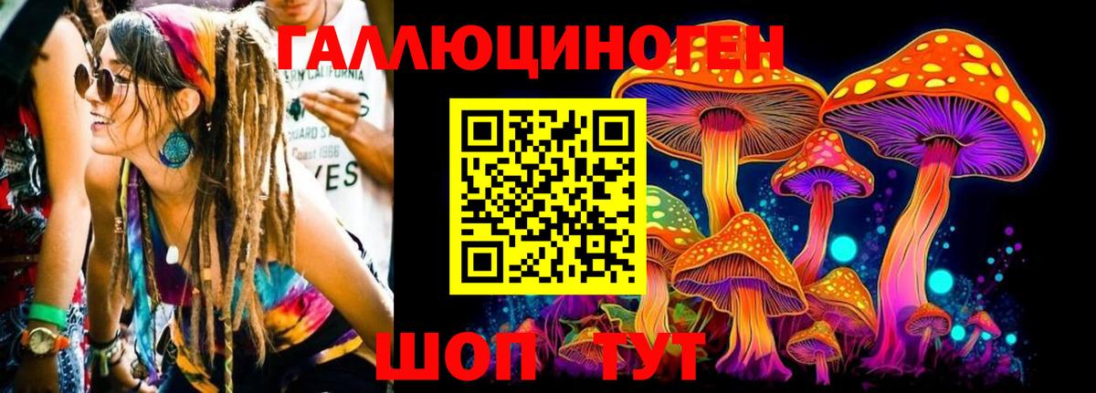 Иркутск  Галлюциногенные грибы ЛСД  Псилоцибиновые грибы мицелий  Вход с VPN 